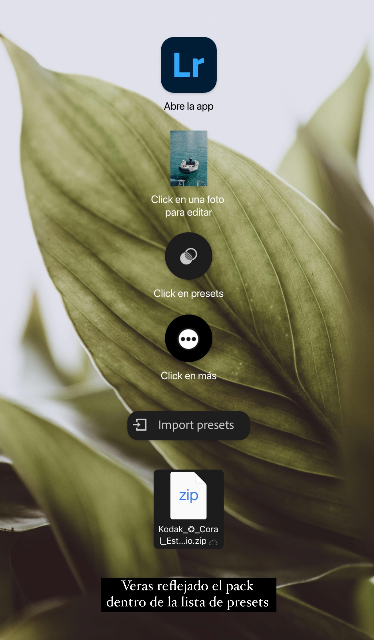 Free Preset ☼ Surf